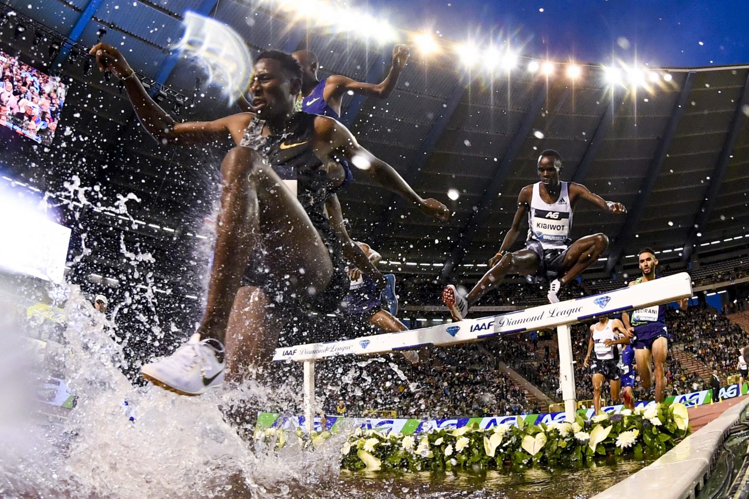 Brussels , 06/09/2019
The AG Memorial Van Damme is an international athletics meeting that is part of the IAAF Diamond League. The meeting is named after the Belgian top athlete Ivo Van Damme who died tragically in 1976.  The 43rd edition will take place on 6 September 2019 in the King Baudouin Stadium in Brussels.
Pix :
Credit : Frederic Sierakowski / Isopix