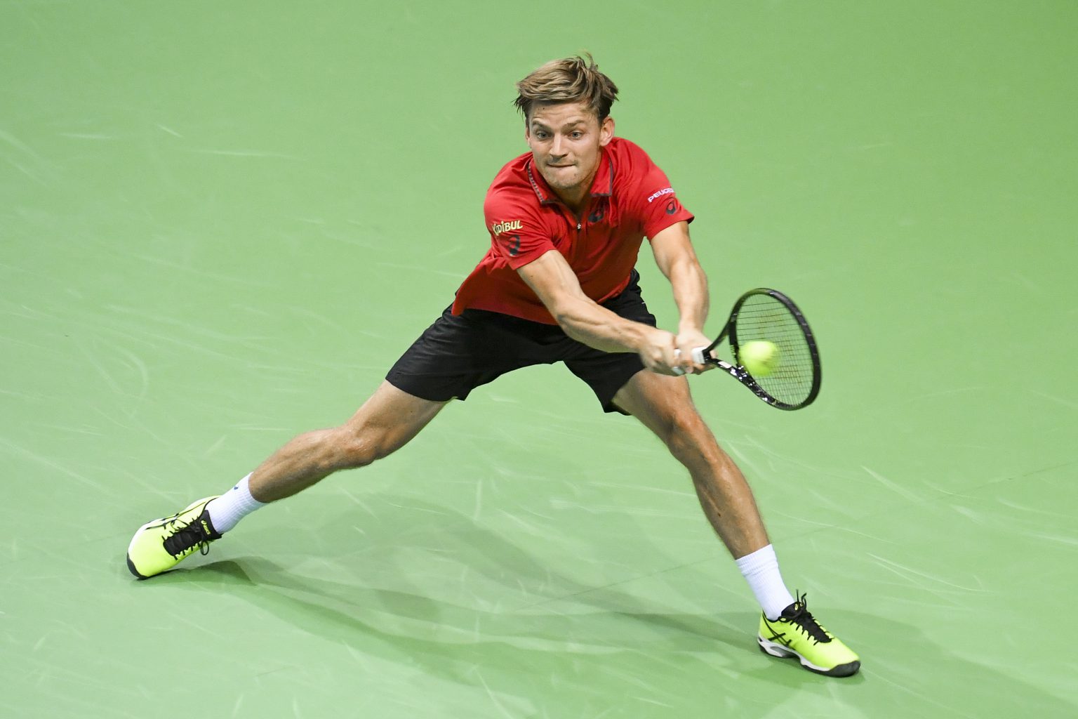 Oostende, 16/09/2016
Tennis: David Cup Play-offs world group at the Sleuyter Arena. Match between Belgium and Brazil.
Pix : David Goffin
Credit photo : Frederic Sierakowski / Isopix