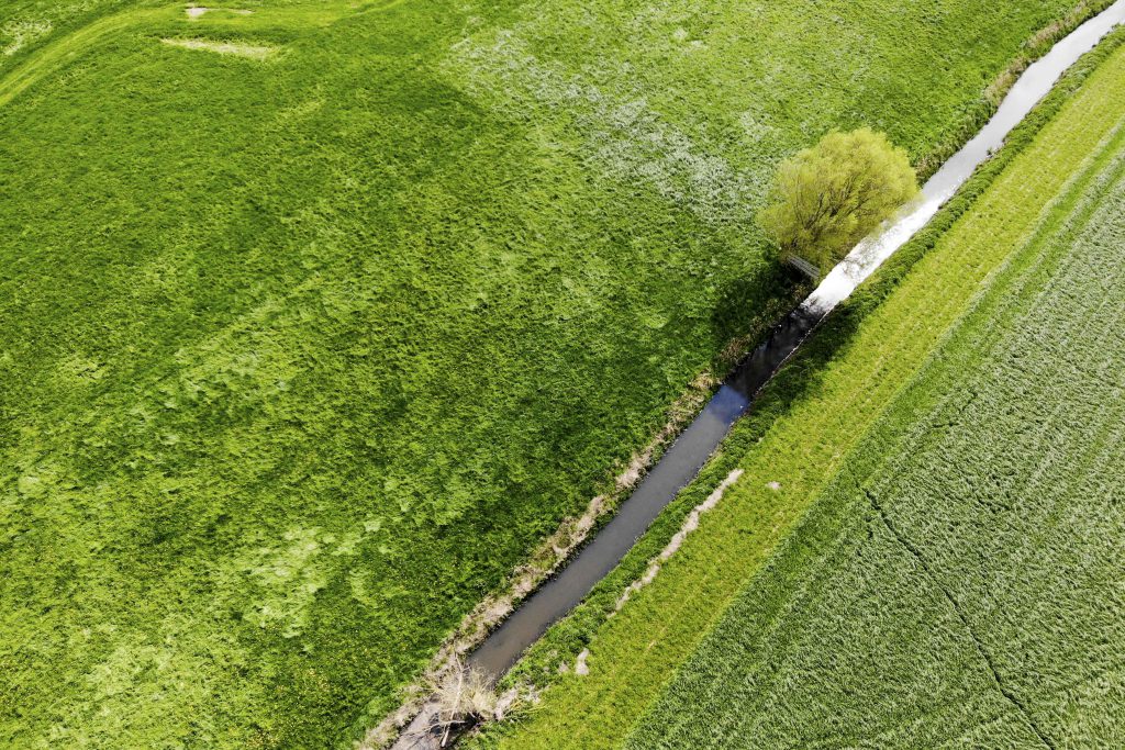 Ledegem , 12/04/2019
Harelbeek, a stream of the Ledegem entity in West Flanders, is the most polluted in Europe, according to Greenpeace analyzes. Its waters contain very high concentrations of pesticides.
Pix :
Credit : Frederic Sierakowski / Isopix