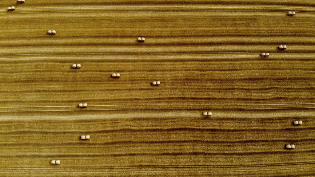 Nivelles , 06/08/2019
The illustration shows a cereal field
Pix : 
Credit : Frederic Sierakowski / Isopix