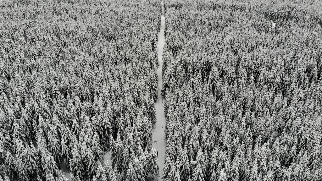 created by dji camera