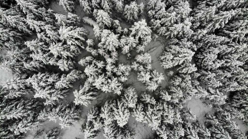 created by dji camera