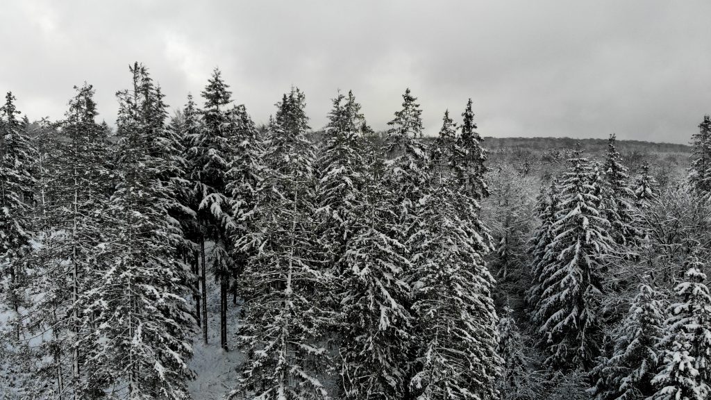 created by dji camera