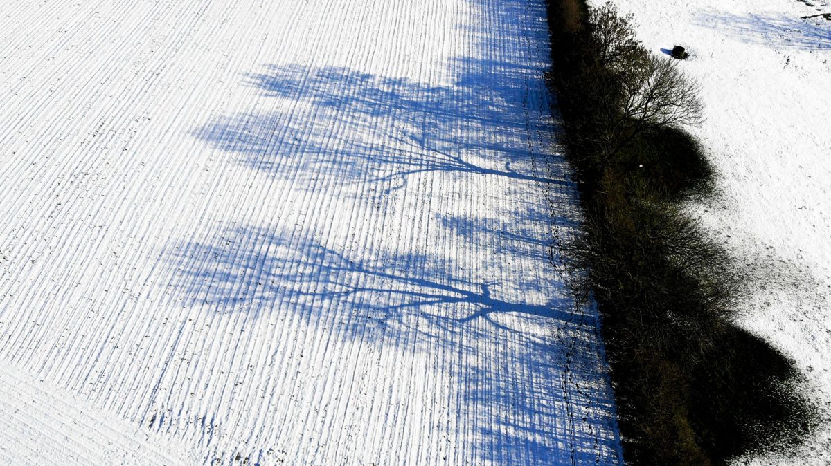 created by dji camera